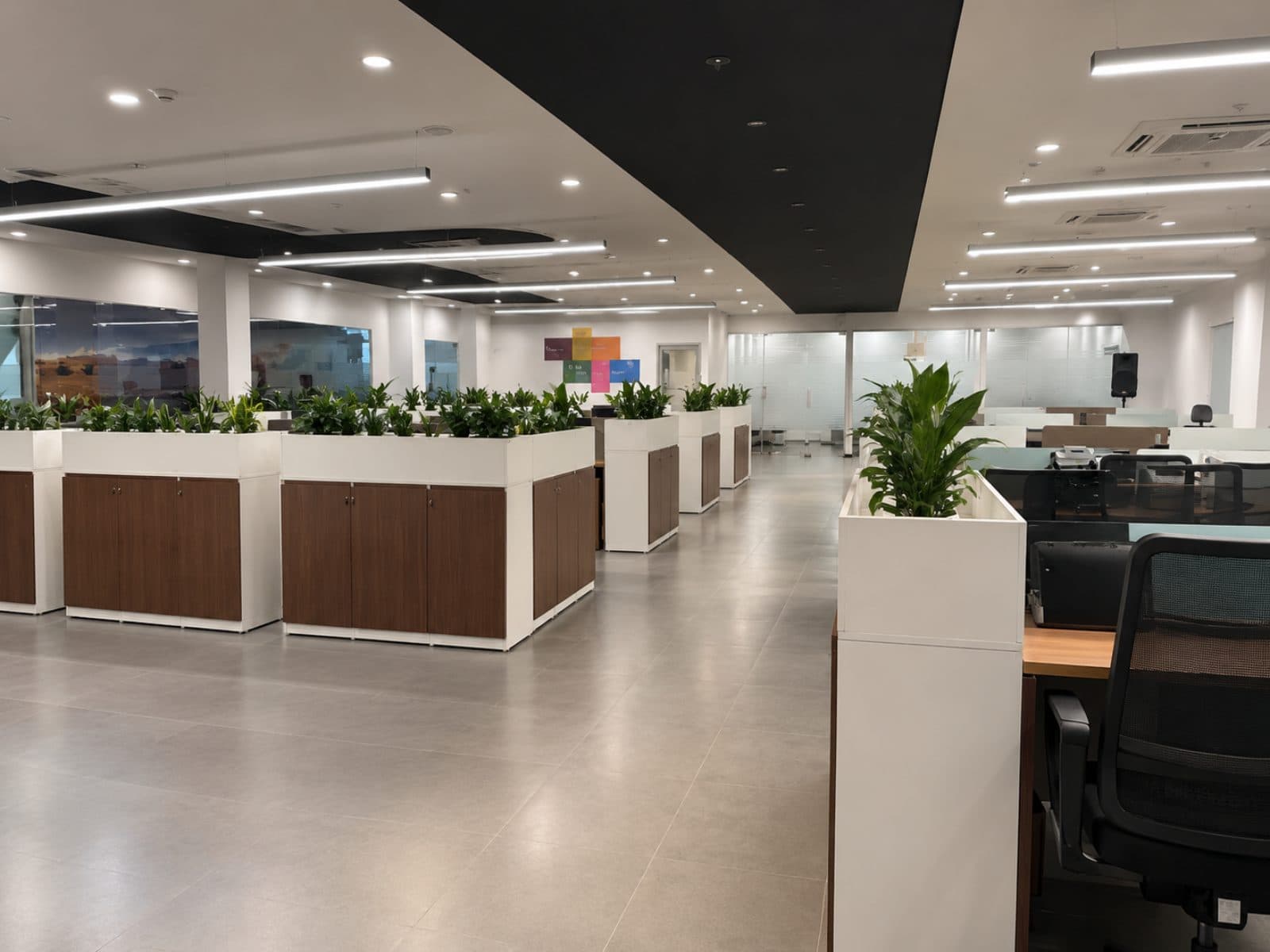 An open-plan office floor, workstations divided by white storage units topped with planters, under continuous linear lighting.
